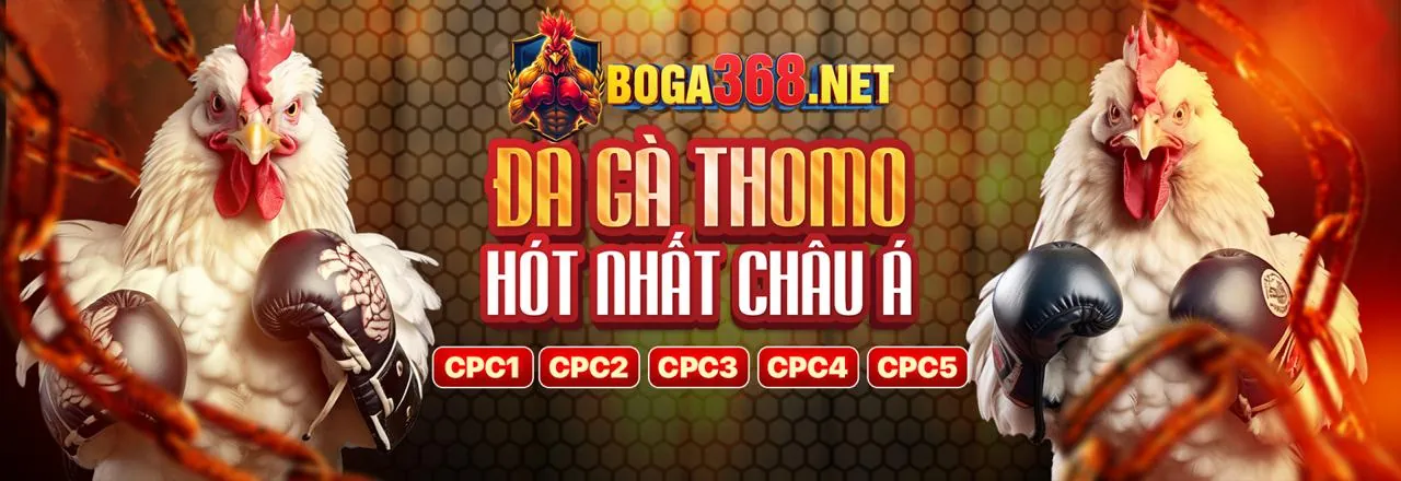 Tài nguyên đá gà 67 chính thức