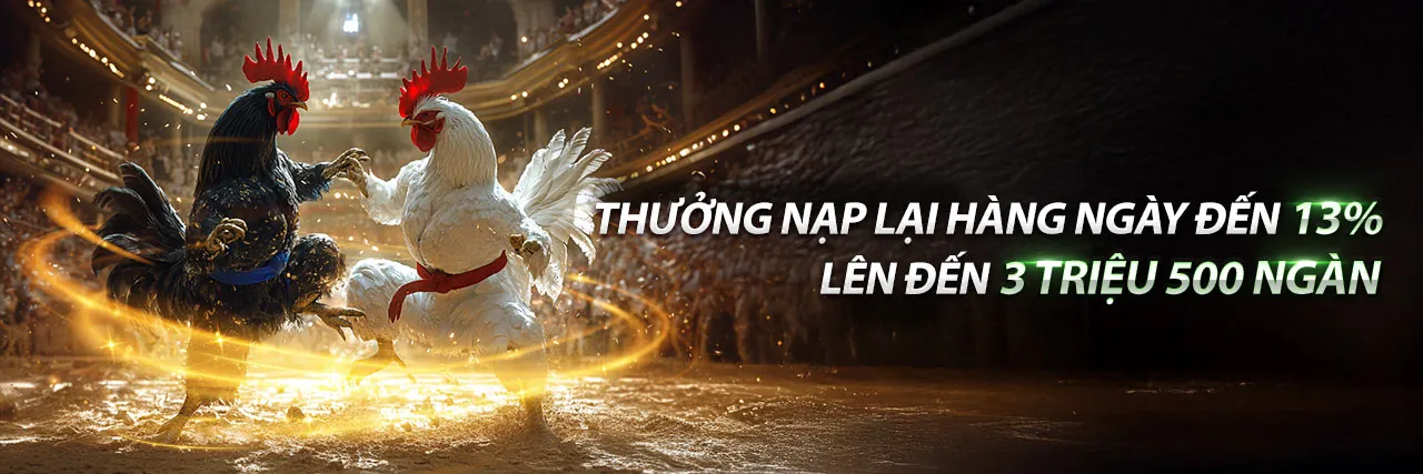 Hình ảnh tổng quan Đá Gà Trực Tiếp 67