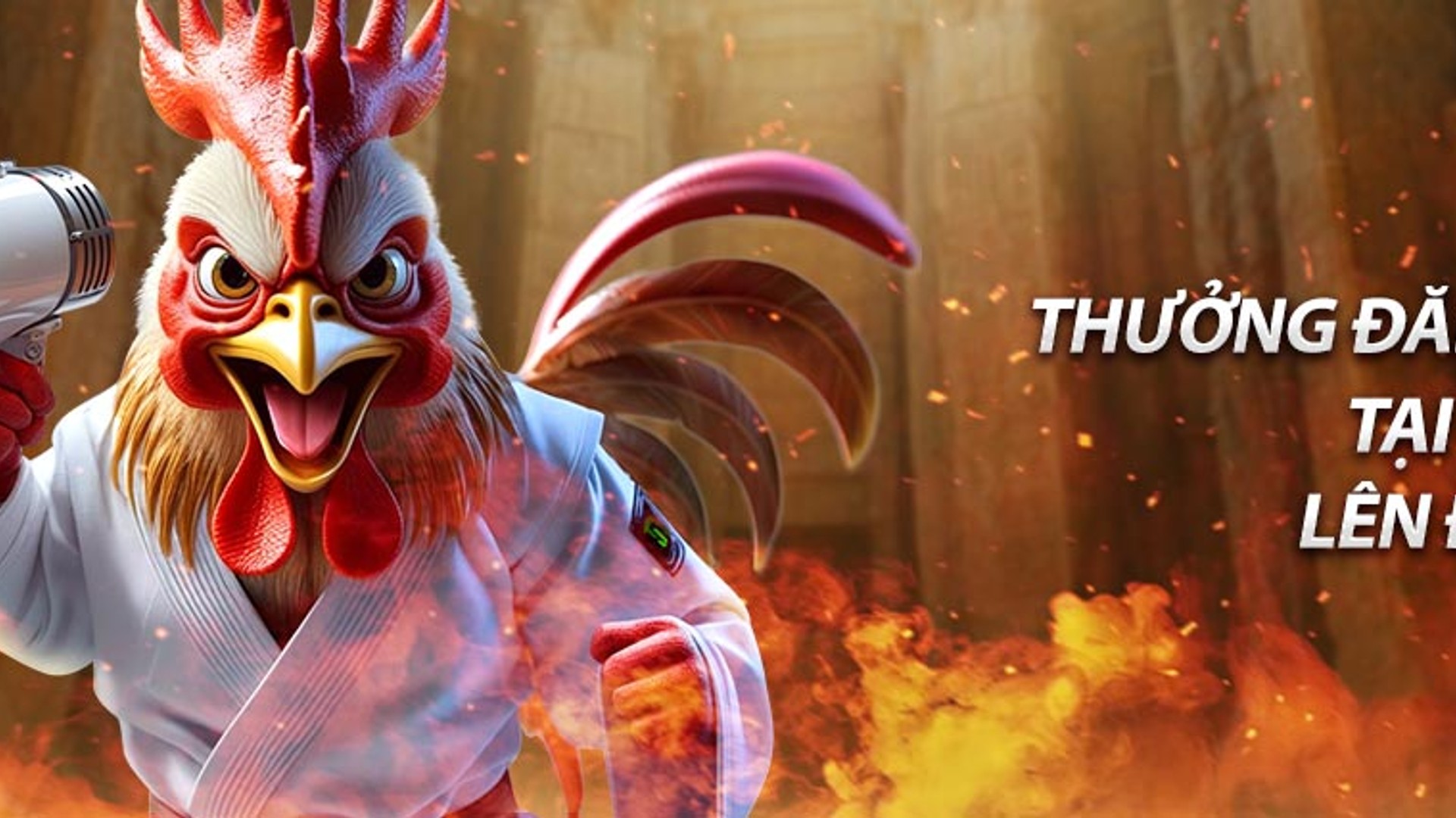 Trận đấu đá gà Campuchia