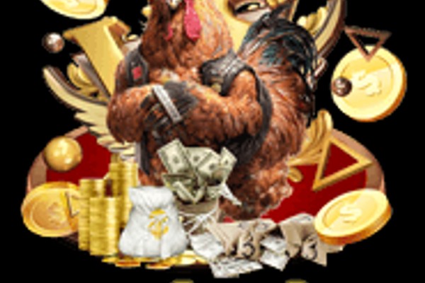 Gà Xám Thần, chiến kê huyền thoại