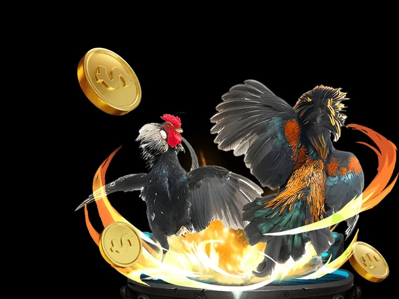 Xem đá gà trực tiếp chất lượng cao