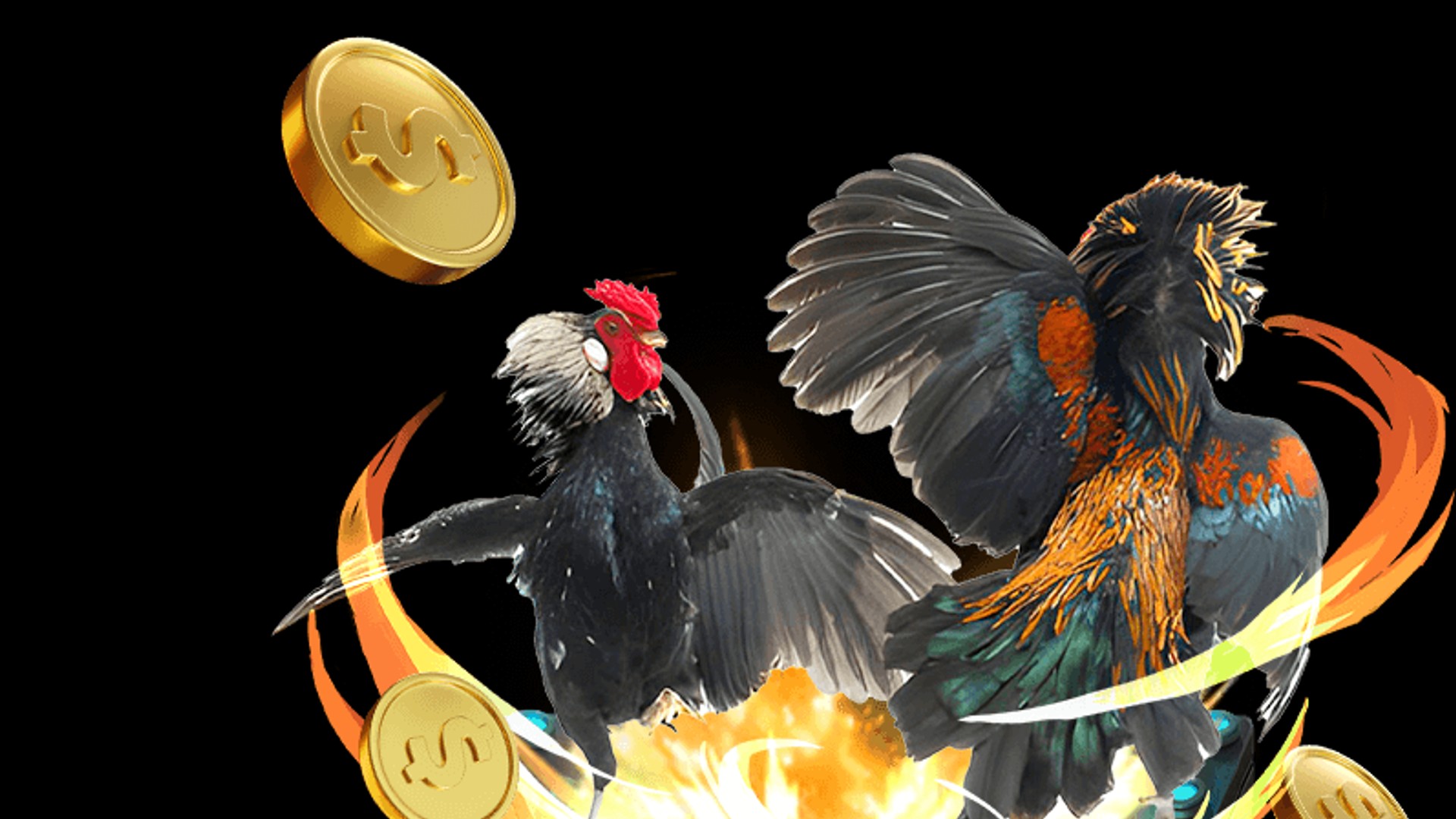 Hình ảnh chiến kê huyền thoại trong đấu trường đá gà trực tiếp