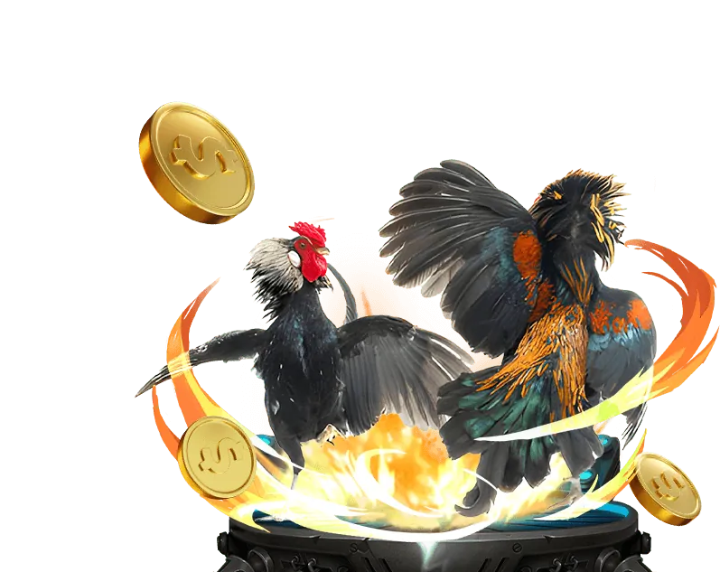 Trực tiếp Đá Gà Cảm 67 Com - Sân chơi đỉnh cao 2026